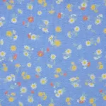 Uniqlo Flower Print Hiphugger Women’s Underwear Blue