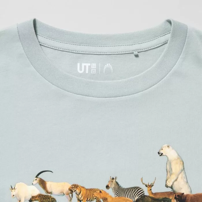 Uniqlo National Museum Of Nature And Science Tokyo Ut Printed T-Shirt Kids Light Green