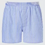 Uniqlo Woven Striped Boxer Men’s Underwear Blue